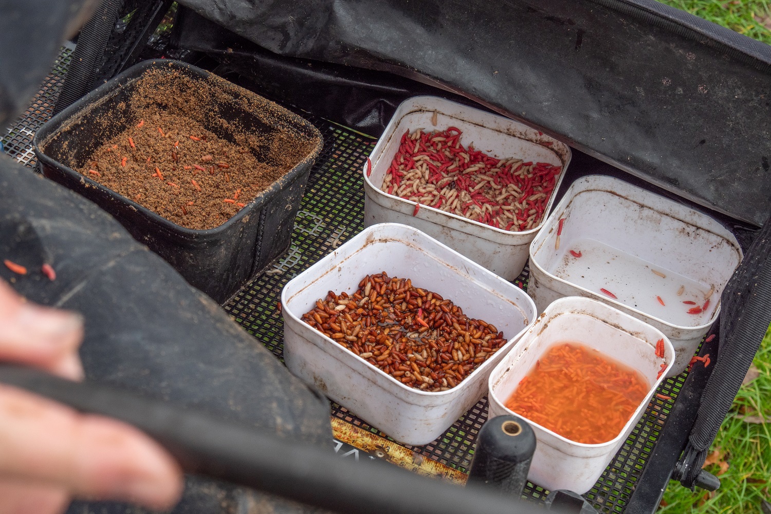 Multiple bins with different types of bait