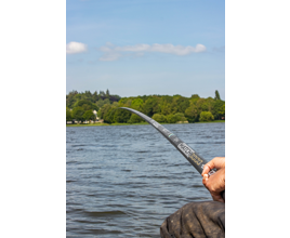 european fishing pole HEXEH Poles Winter Ice Fishing Rod Ultra-Light Carbon Fiber Ice Fishing Medium Light Ice Fishing Spinning Rod Fishing Rod and Reel Combos (Color : 23.62in) : Sports & Outdoors coated section tips 13 FISHING Vital Ice Rod