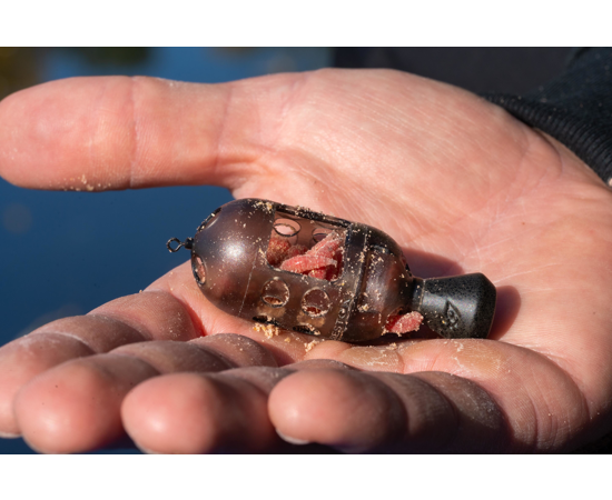 Carp Maggot Feeder