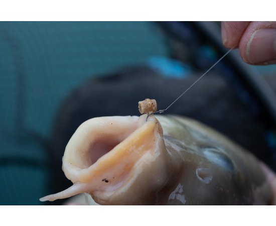 Hookable Bait Bands