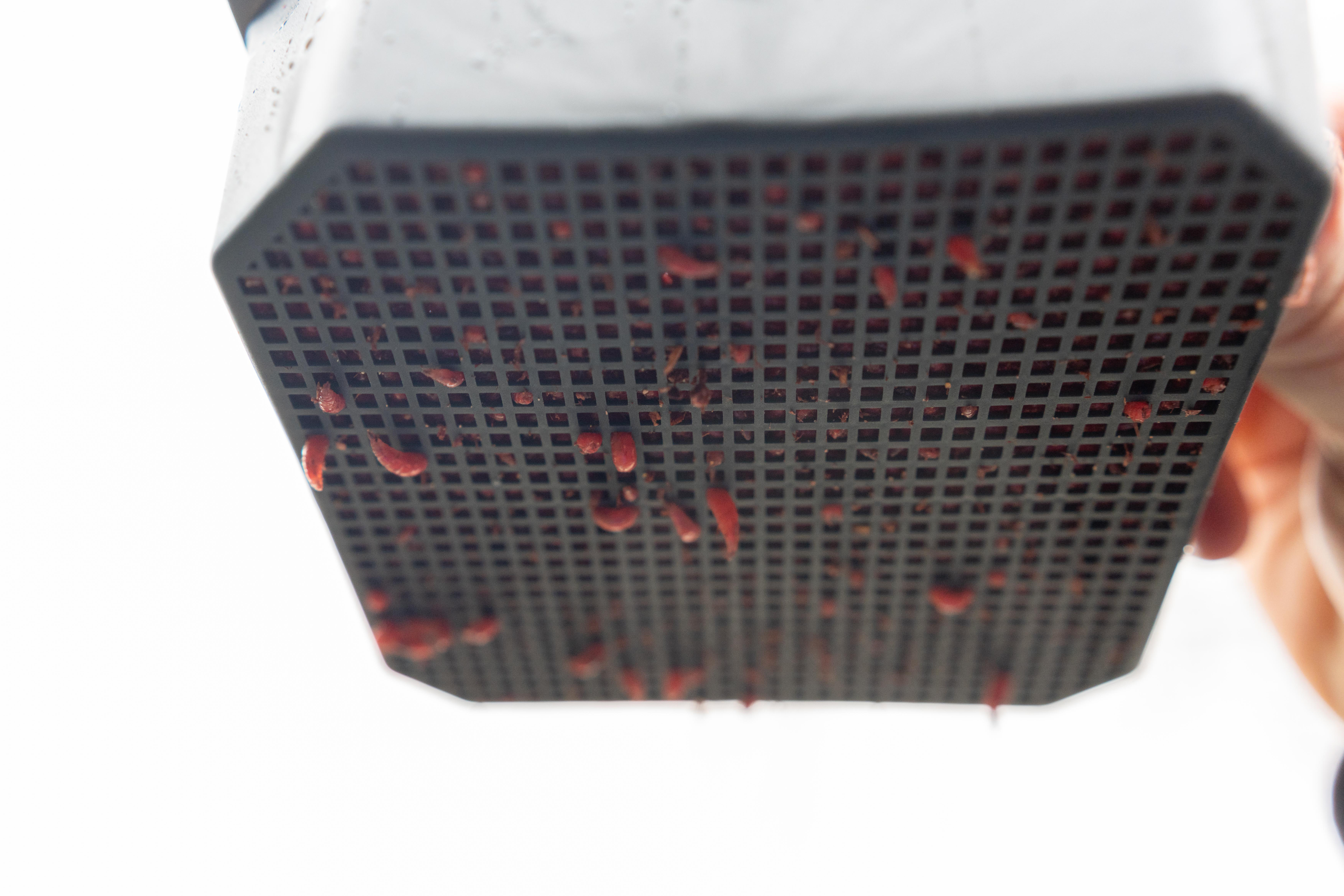 リドルベイツ　Riddle Bait 2 Pint Maggot Riddle | UK Match Fishing Tackle For True Anglers